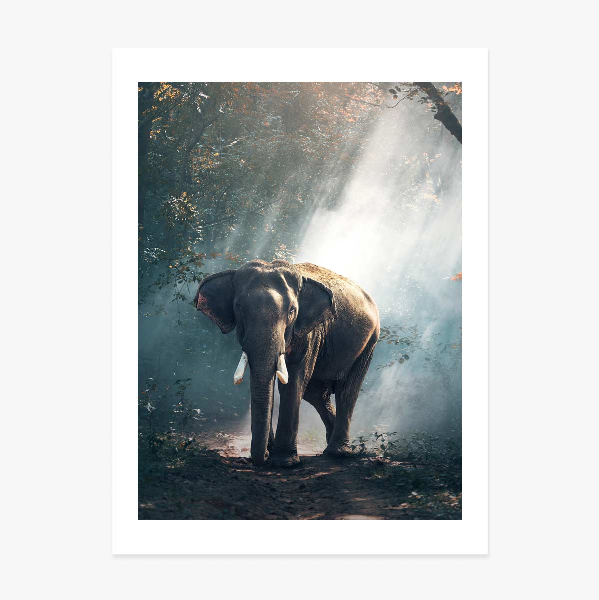 Poster Olifant
