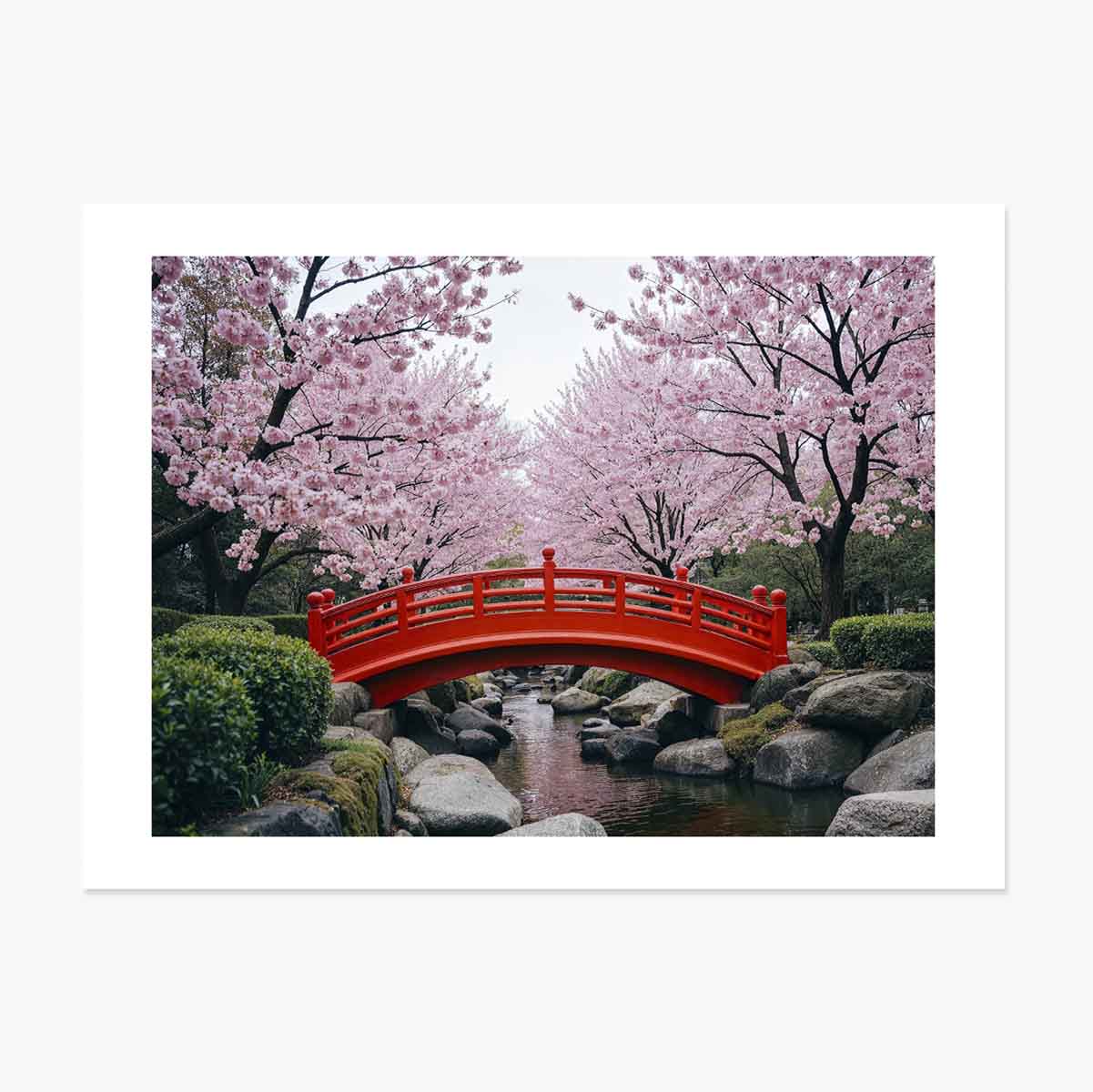 Poster Japanse tuin - Bloeiende kersenbomen
