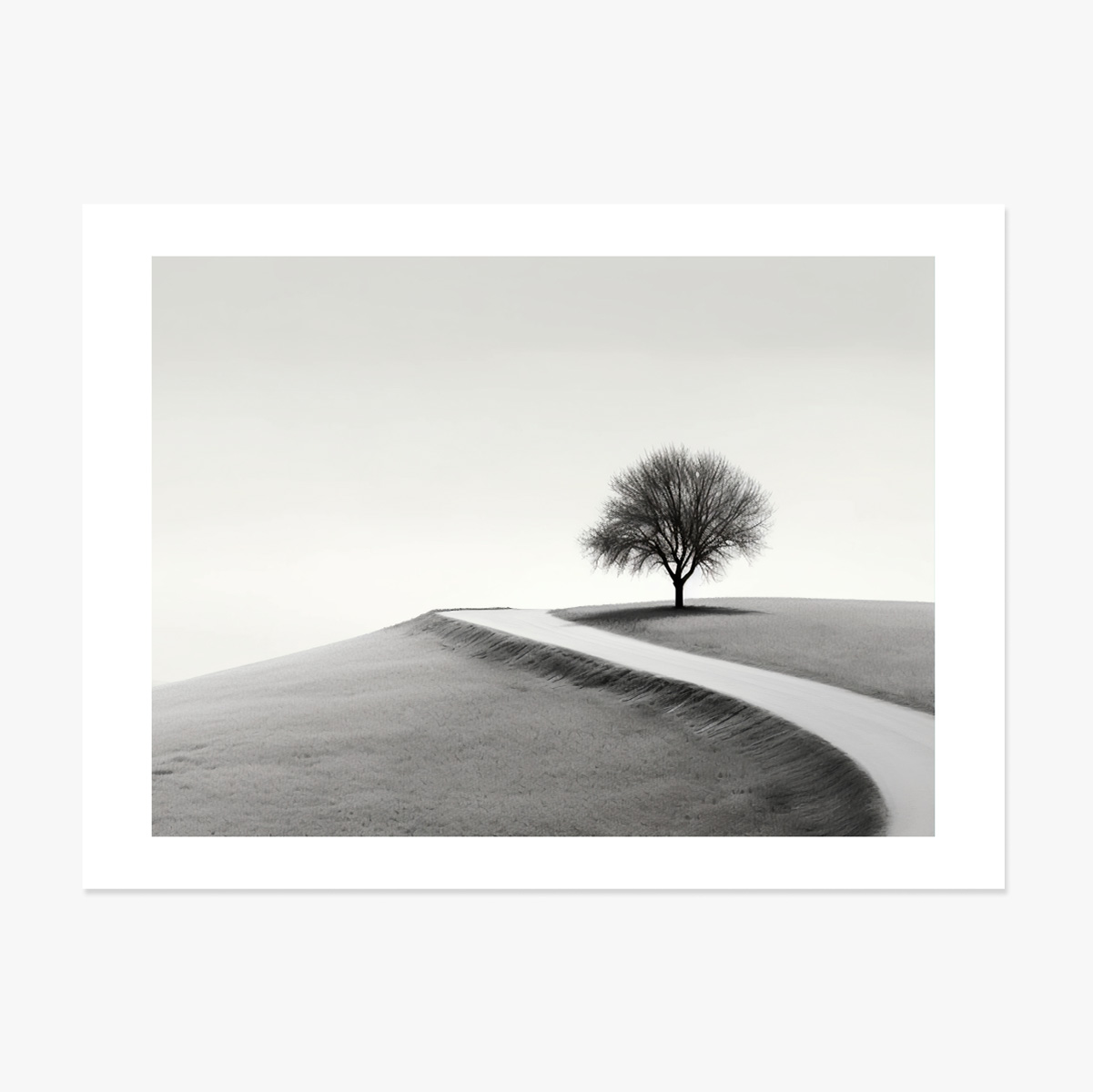 Poster in liggend formaat - De eenzame boom