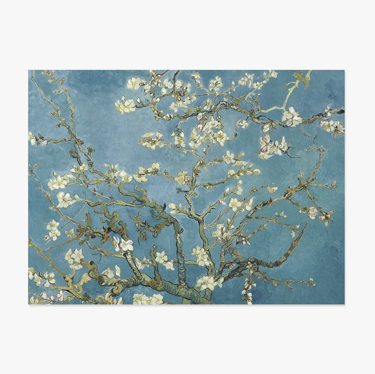 Poster in liggend formaat - Vincent Van Gogh - Bloeiende amandelboomtakken 1890