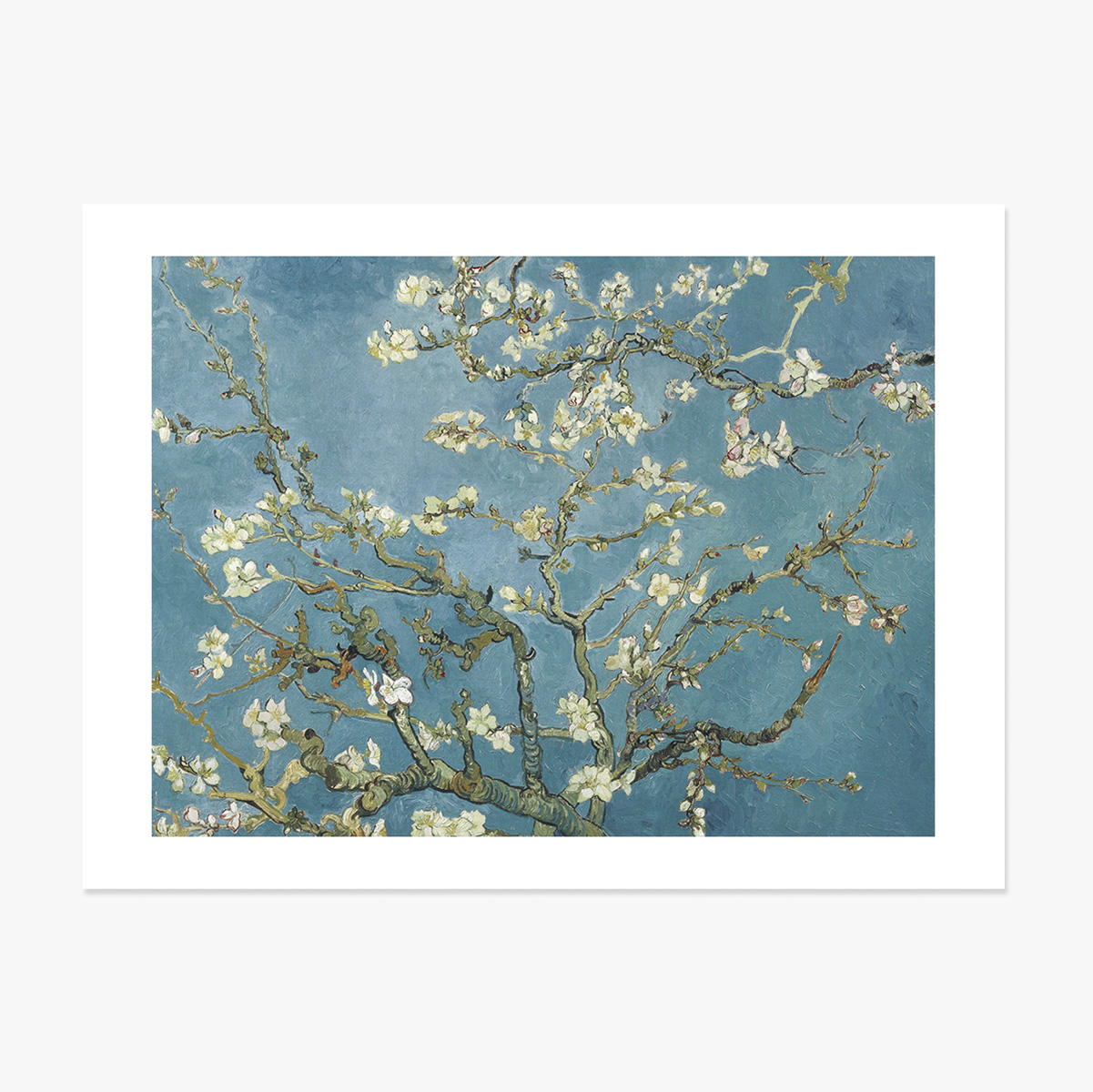 Poster in liggend formaat - Vincent Van Gogh - Bloeiende amandelboomtakken 1890