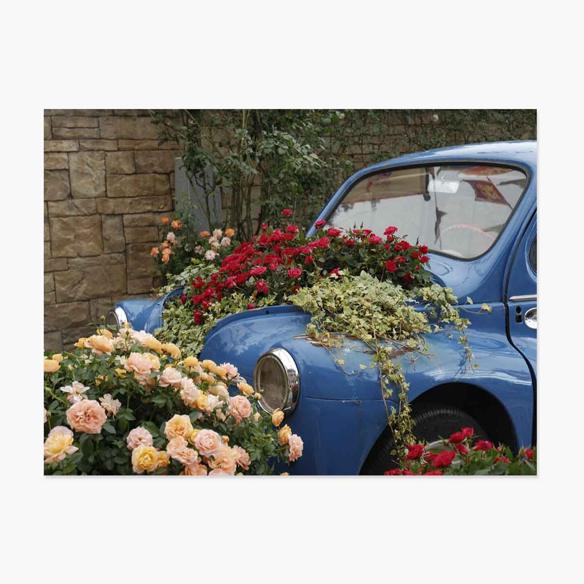 Poster: Vintage blauwe auto met bloemen