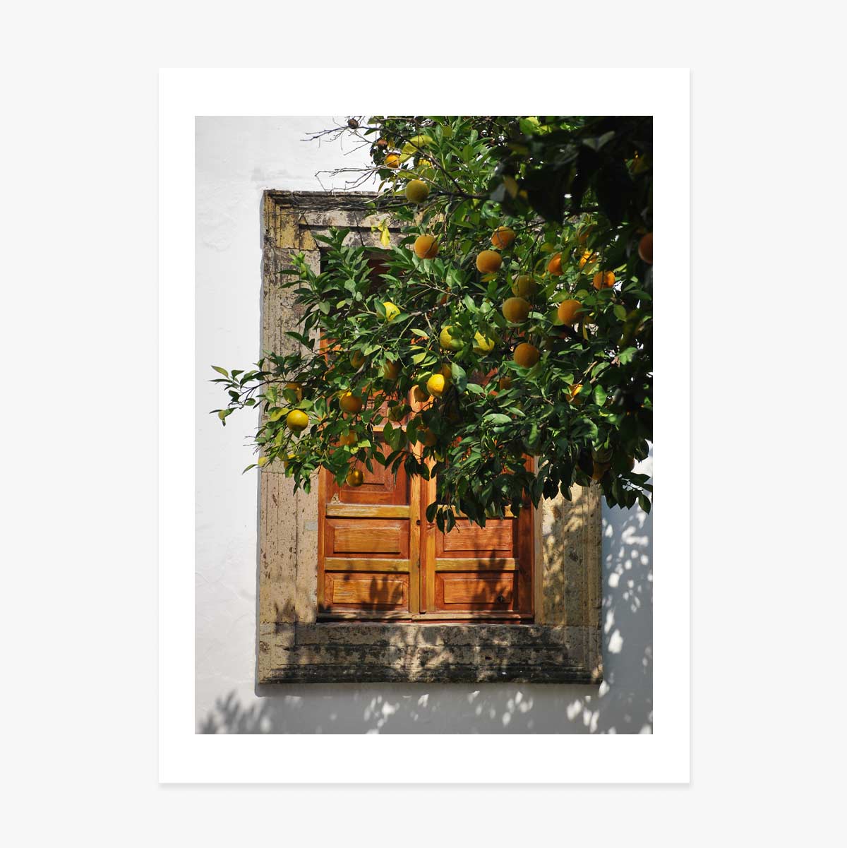 Orange tree poster