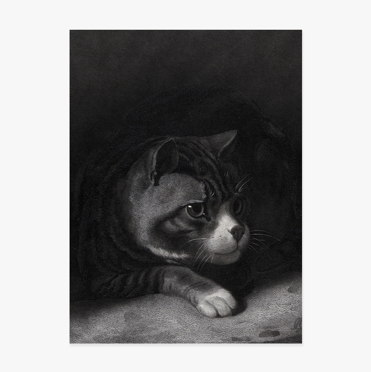 Poster van William Gil, De waakzame kat die door de schaduwen tuurt, 1855