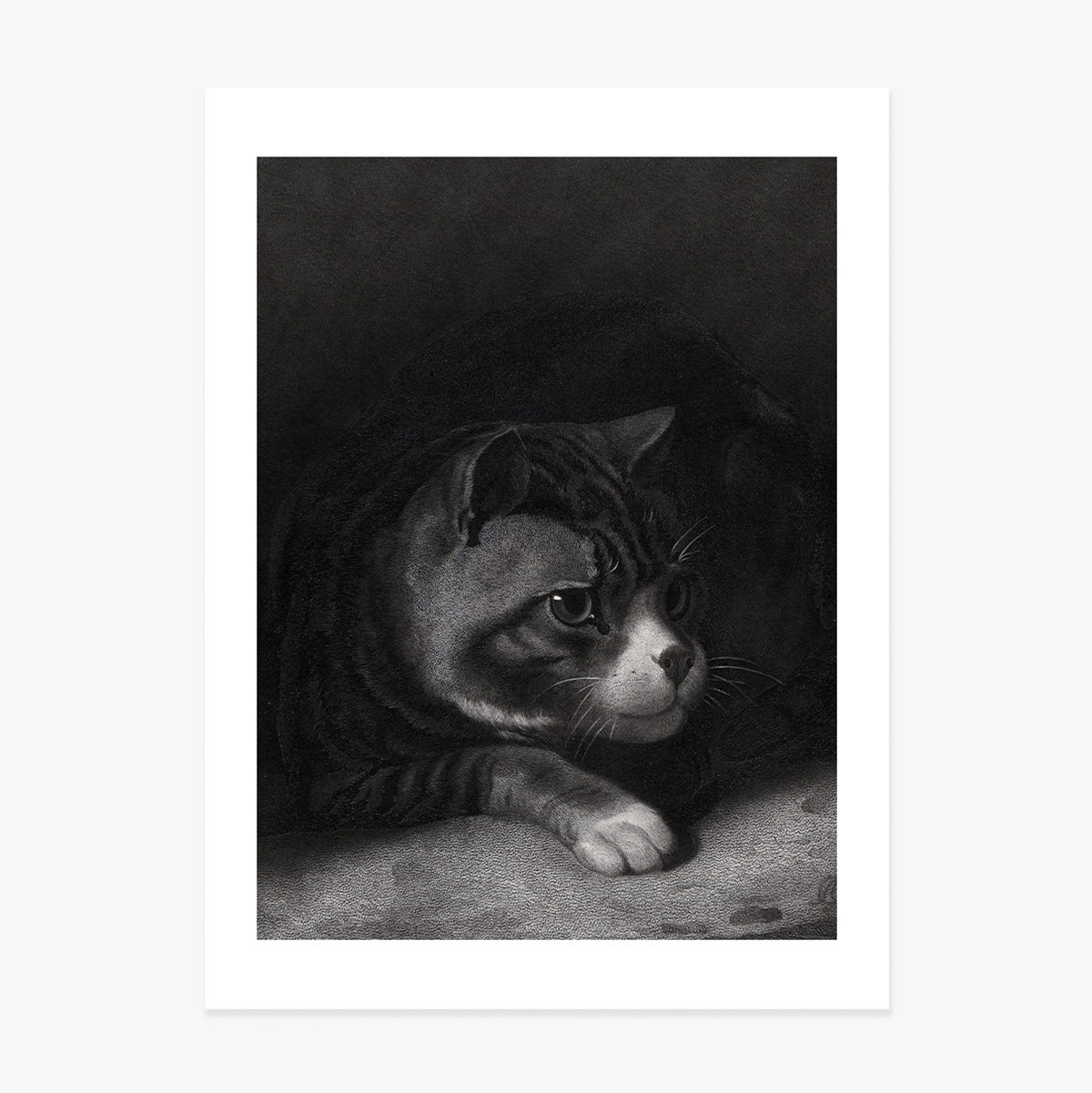 Poster van William Gil, De waakzame kat die door de schaduwen tuurt, 1855